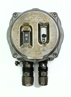 THORN SECURITY LTD 火焰视觉 FV421i 火焰探测器 516.300.421