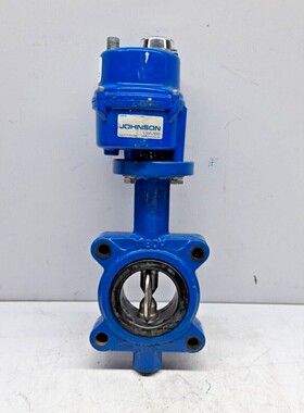 Johnson Valves KE005-8G Butterfly Valve DN-65 100-220V Rated