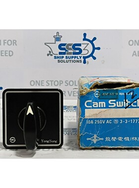 Yongsung C-60 Camswitch AC220V 10A 银色