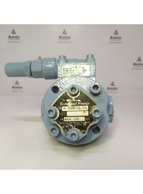 Pompa Trocoide Nippon Oil TOP-204HBFVB-029 - Pompa Testata