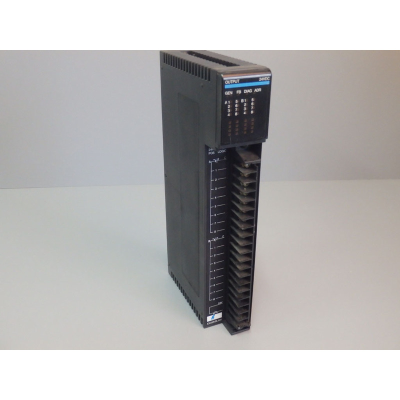 IC655MDL555 - fanuc - IC655MDL555/Output Positive Logic 12/2