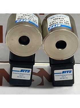 Site Walter Schumacher 240.10.31006 20V DC-1,30A