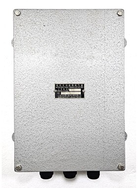 广东华喷气机 西江电机方向旋转电箱 DZ47-60 RT28-63X