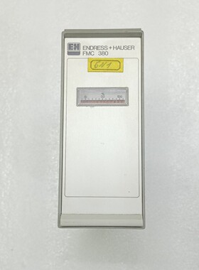 Endress + Hauser Silometer FMC 380