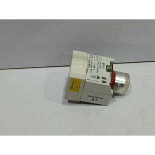 Stahl 8017/4 Luz Indicadora ~ 500V