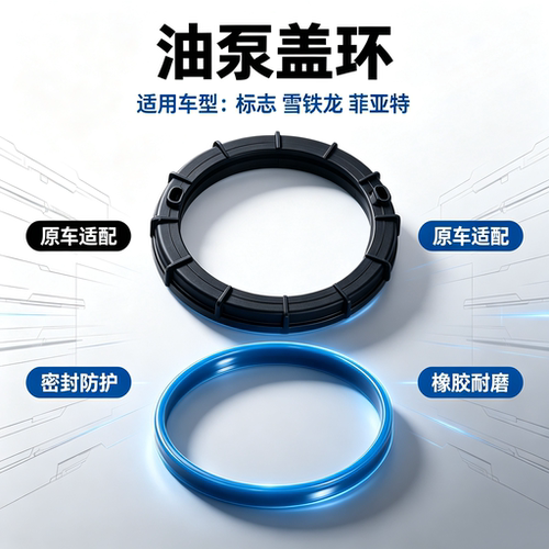标致雪铁龙燃油泵盖环