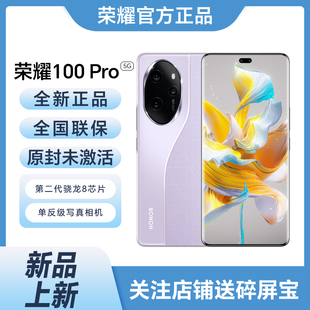 Pro 100 荣耀 honor