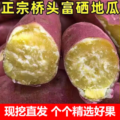 海南澄迈富硒桥头地瓜板栗粉糯甜黄心鸡蛋黄番薯蒸烤红薯地瓜新鲜