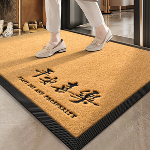 地垫入户门垫金黄色高级感进门除尘垫防滑耐脏门外垫门口蹭土地毯