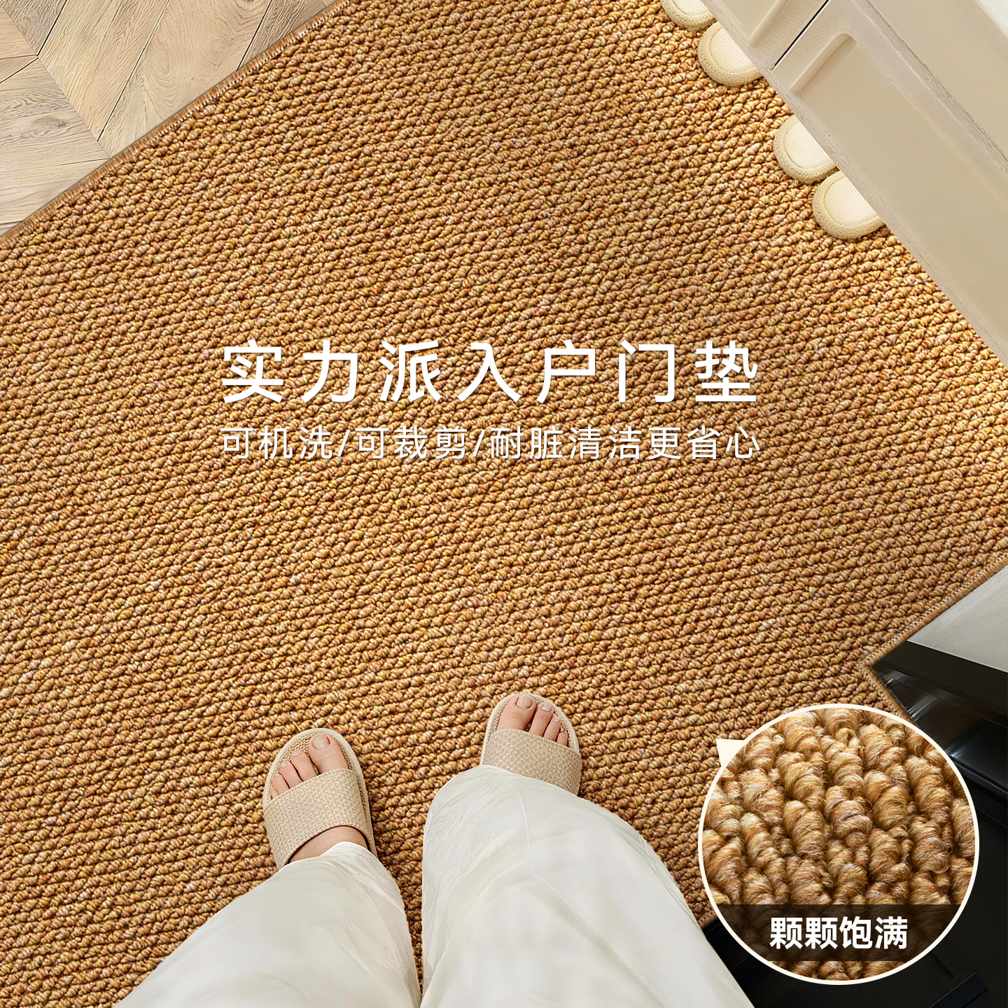 高级感入户门地垫门口专用地垫