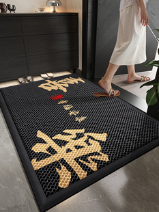 别墅入户门地垫家用门口室外脚垫进门专用门垫室内耐脏除尘脚踏垫