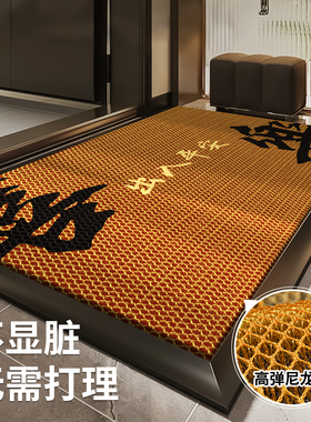 金黄色入户门地垫进门家用防滑门垫门口耐脏耐磨垫子免洗除尘高弹