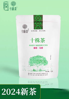 恩施建始马坡茶富硒绿茶高山云雾茶恩施玉露三里十株茶100g