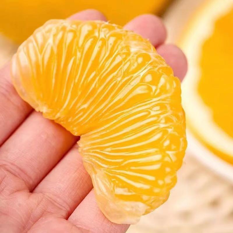 10斤装带箱产地直供正宗新鲜胡柚