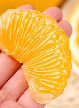 10斤装带箱产地直供正宗新鲜常山胡柚酸甜多汁皮薄当季水果小柚子