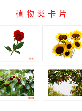 植物类卡片 真实植物超清晰认知名词卡片