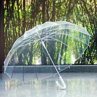 Qiutong 16 bone net red retro transparent umbrella long handle transparent umbrella automatic literary umbrella can customize advertising umbrella