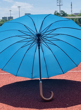 湖蓝色抗风自动16骨长柄伞太阳伞男女通用晴雨伞优质商务伞广告伞