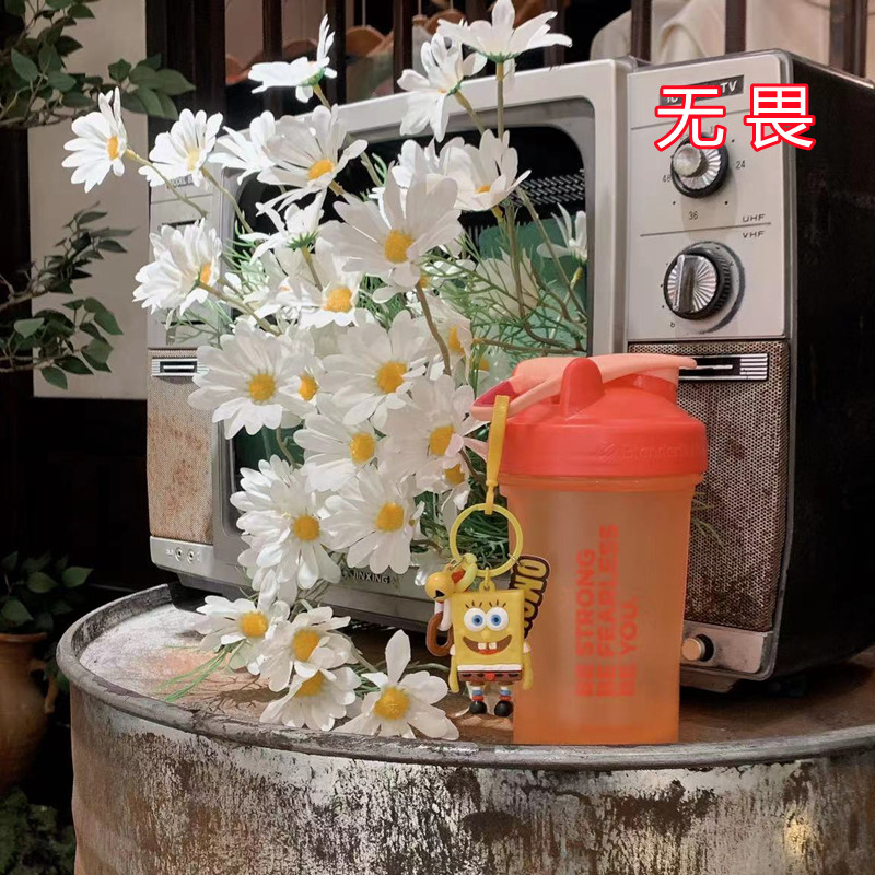 美国BlenderBottle 限定款蛋白粉摇摇杯奶昔杯运动健身水杯搅拌球