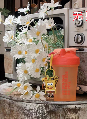 美国BlenderBottle 限定款蛋白粉摇摇杯奶昔杯运动健身水杯搅拌球