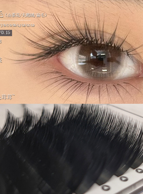 超长嫁接睫毛LB/C翘婴儿弯漫画山茶花DD单根扁毛14/15/16/17/18mm