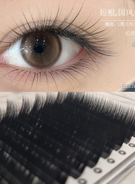 短根国风山茶花睫毛嫁接根部1mmLB/C中式立体提翘L婴儿弯美睫专用