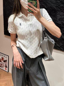 原 意大利客供纱面料 纯色翻领立体刺绣麻花针织polo衫两色