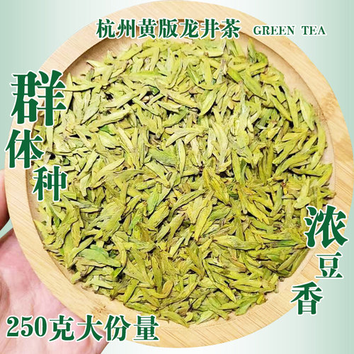 2026年新茶杭州群体种龙井茶250g
