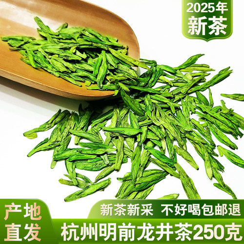 2025年新茶明前龙井茶250g