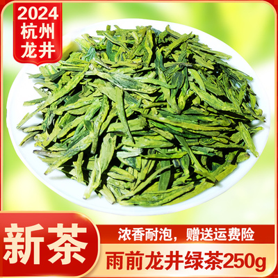 2024雨前春茶龙井茶叶250g