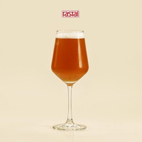 德国Rastal进口高脚杯红酒杯
