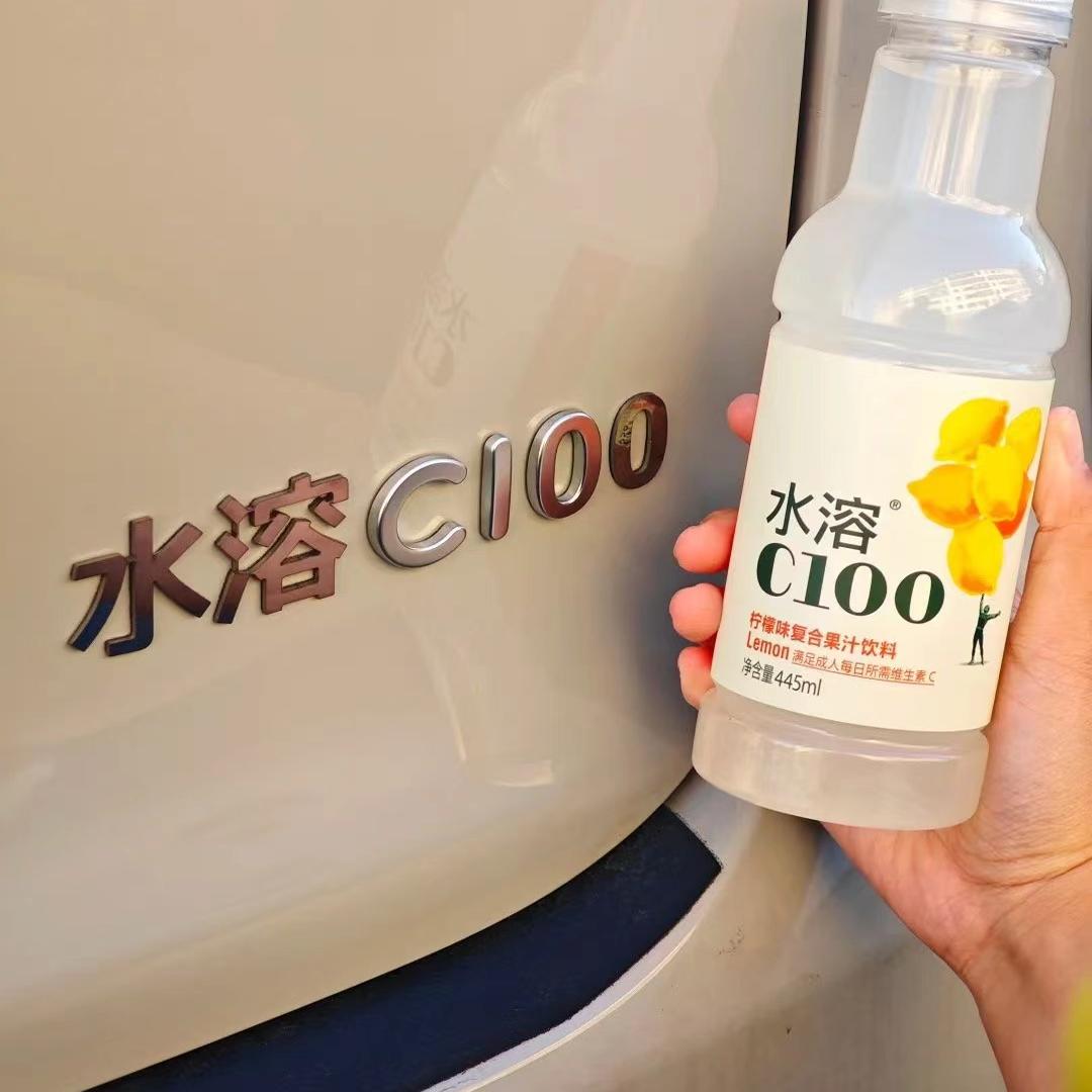 零跑C10水溶C100網紅創意車標