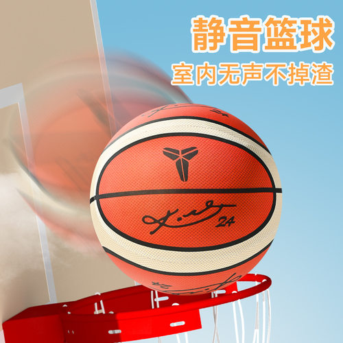 Indoor Silent Basketball and Basket 18/21/24 cm Bouncing Mut