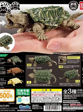O乐翻天O万代扭蛋 乌龟大鳄龟 海洋仿真生物动物可动系列03模型
