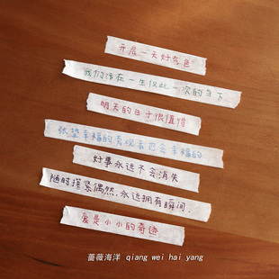 蔷薇海洋 青春文字和纸胶带 荒谬当道爱拯救之 手帐diy装饰贴纸