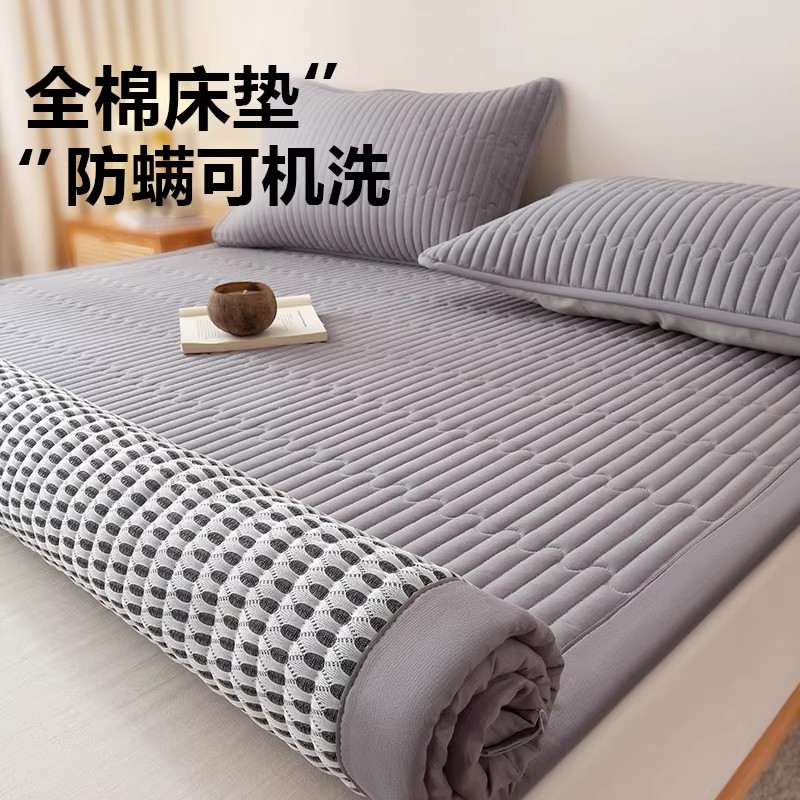 德国床垫子家用卧室学生宿舍软垫透气夏季薄款垫子软榻榻米床垫
