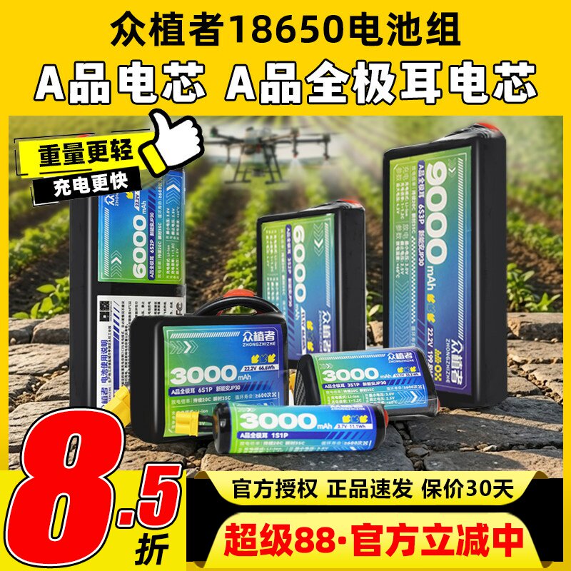 众植者18650电池组JP30A品电芯图片