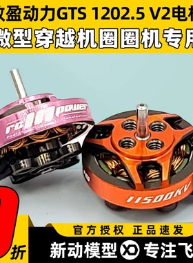 致盈动力GTS V2 1202.5无刷电机1s2s圈圈机室内穿越机竞速马达