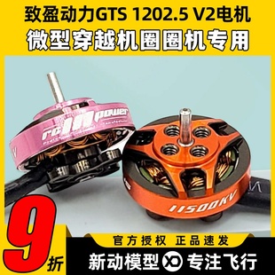 致盈动力GTS 1202.5无刷电机1s2s圈圈机室内穿越机竞速马达