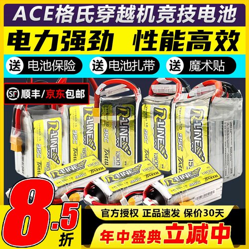 ACE格氏金砖1.02.0系列电池