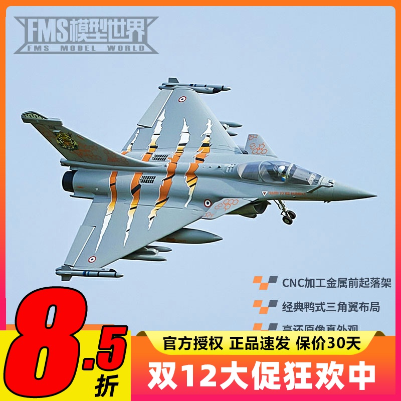 FMS64mm阵风像真航模固定翼模型