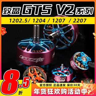 致盈动力RCINPOWER电机GTS V2全系列无刷电机暴力花飞穿越机竞速