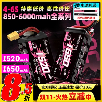银瑞BLITZ闪电兔电池畅飞2.0系列