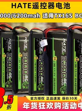HATE航模控电遥控器电池乐迪AT9Spro迈克天地飞9锂电池1s2s3s控电
