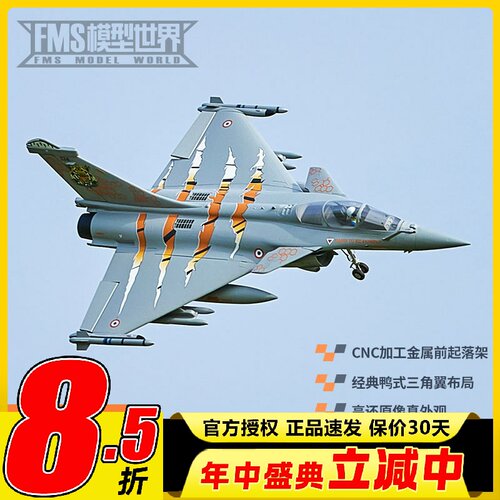 FMS64mm阵风像真航模固定翼模型