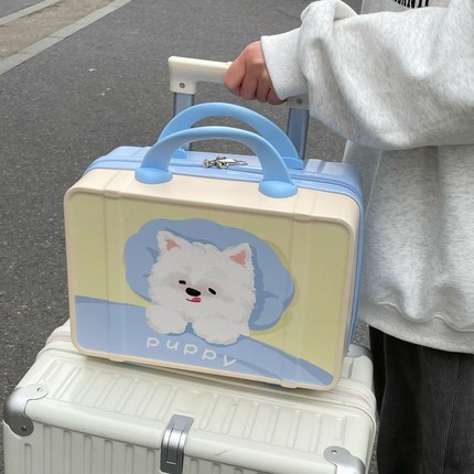 可爱化妆箱女生手提大容量化妆品收纳包旅行可携式可挂行李箱化妆