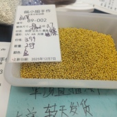 002卡3铜高保色合金隔珠金色25g 9.9元 包邮