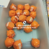 035卡26无孔橙虎1个 9.9元 包邮