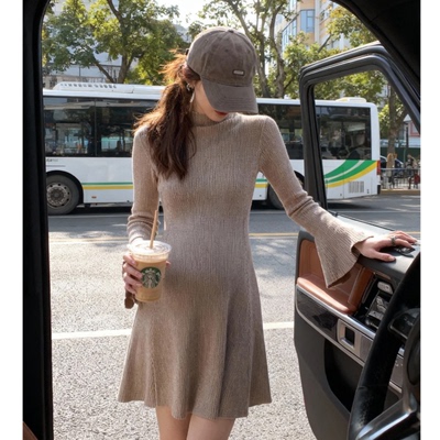 高品质小个子孕妇装秋冬款时尚加厚针织短裙a字连衣裙修身打底裙