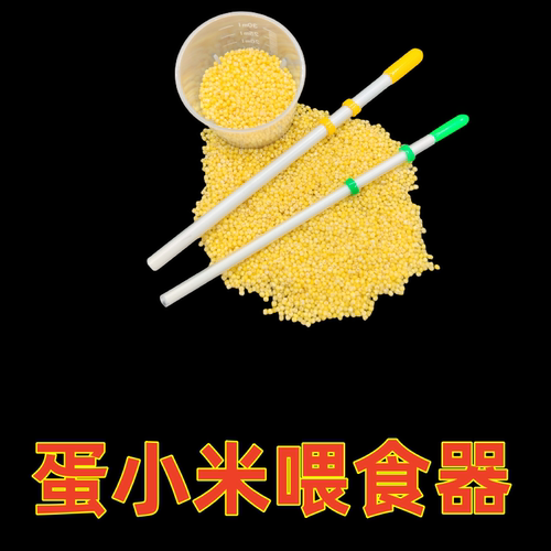 喂食器手养鸟幼鸟雏鸟人工方便